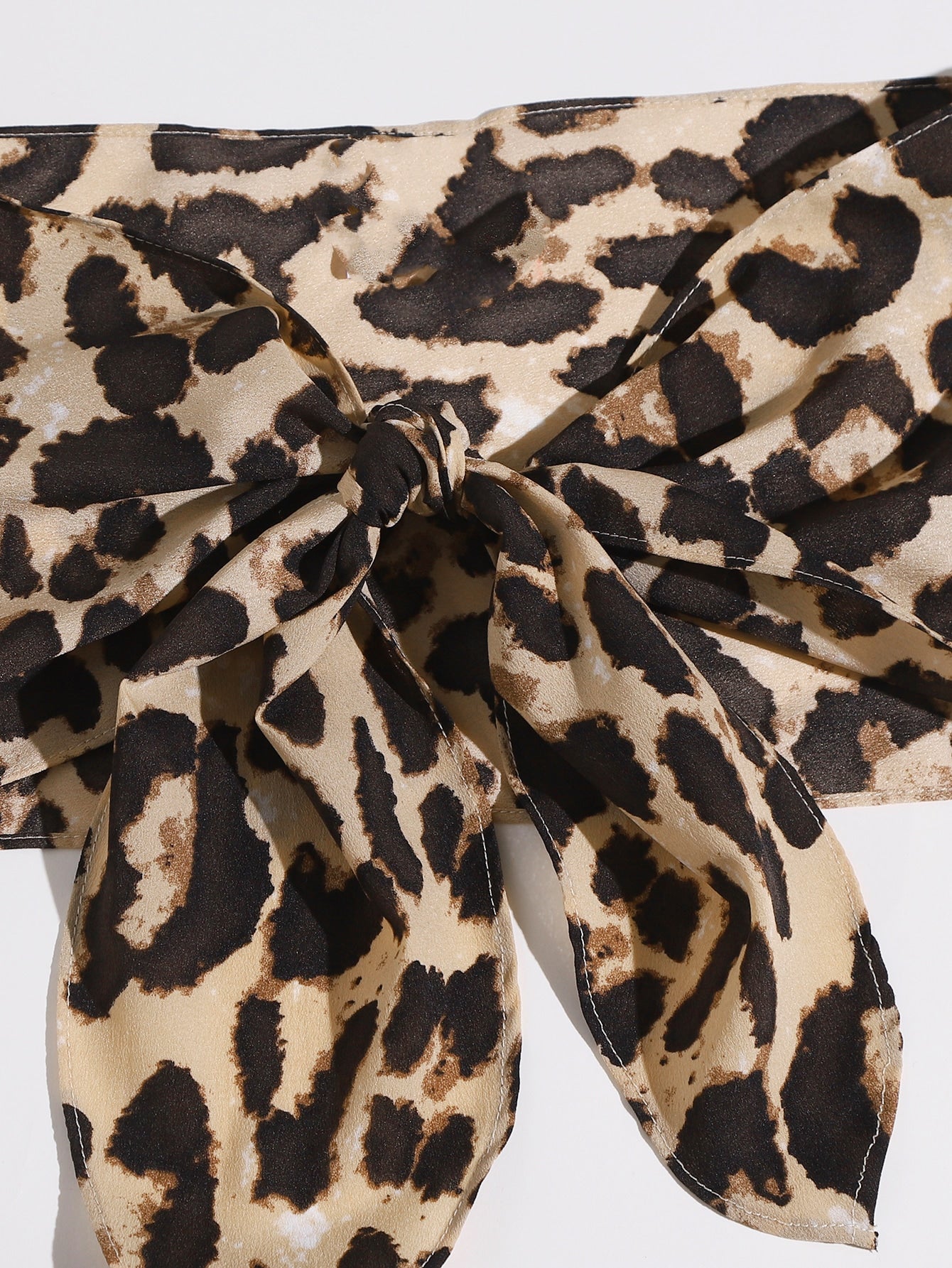 Tube Top mit Band vorne und Leopard Muster & Shorts Set