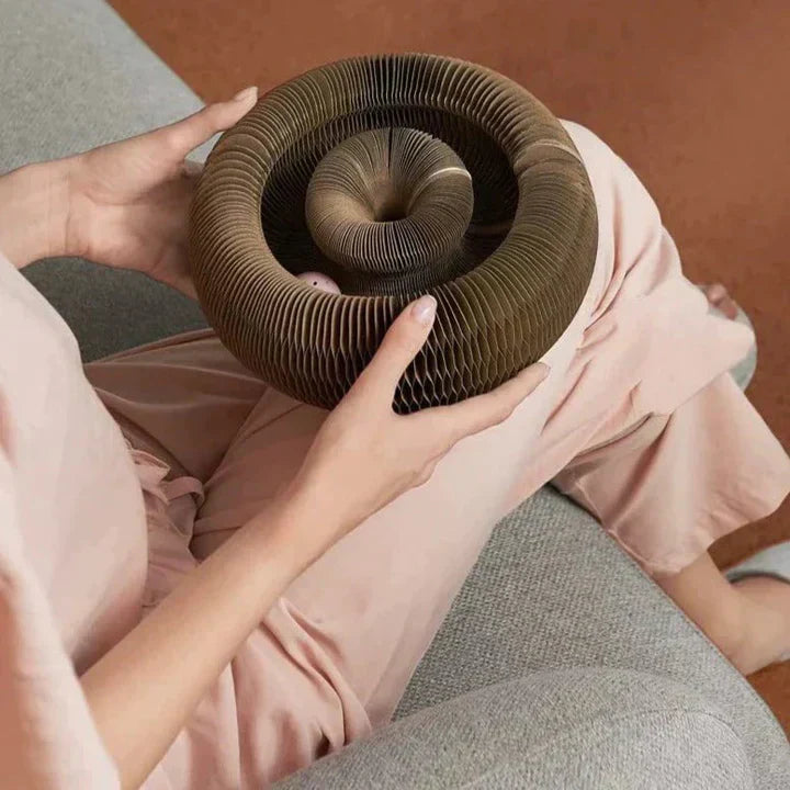 Scratchora™ - Krümelfreies transformierbares Katzenspielzeug