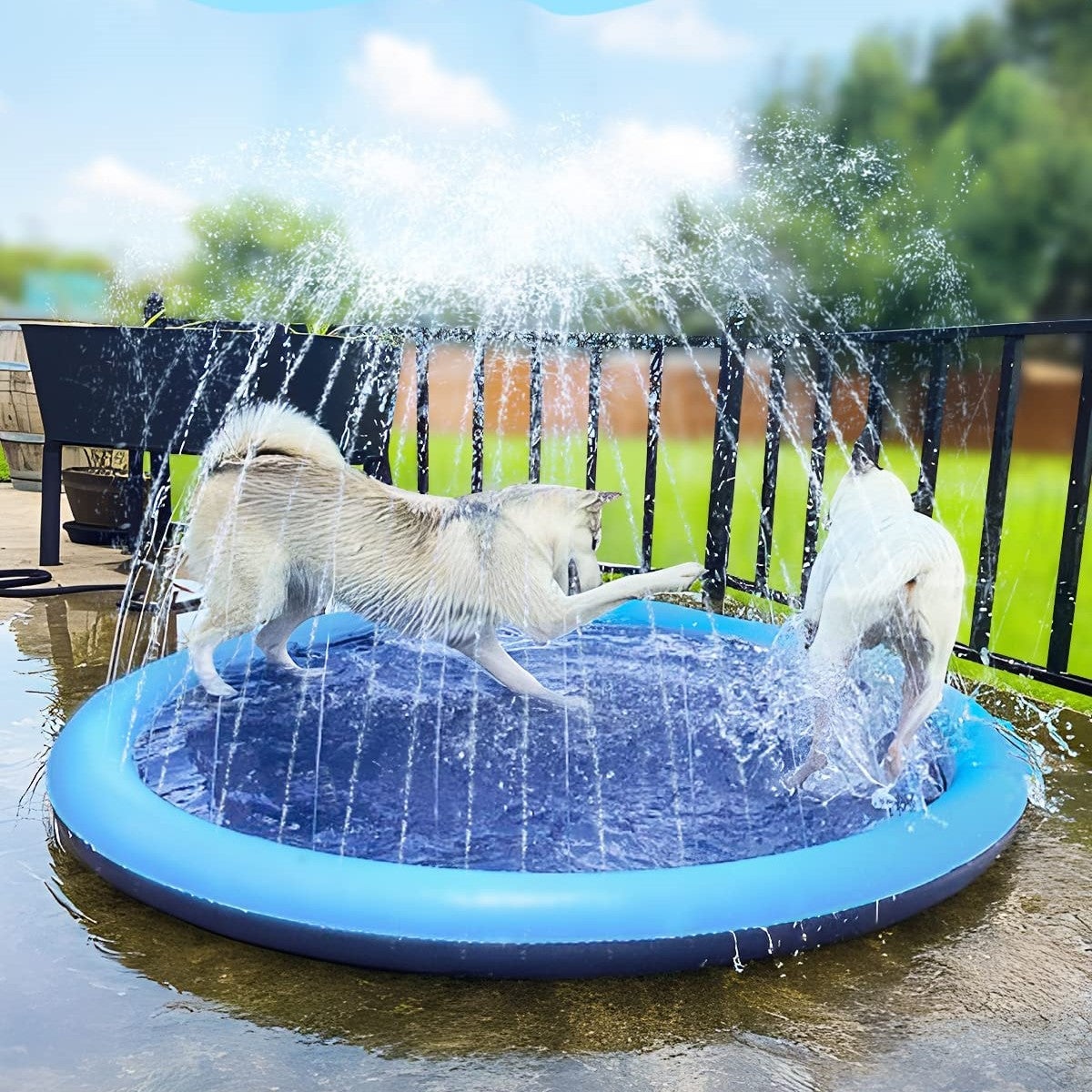 Splashdog™ - Splash Sprinkler Pool Für Haustiere (50% RABATT)