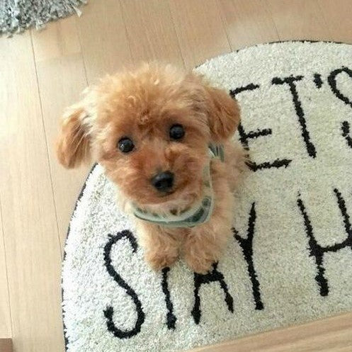 TeddyFreund™ Ein echtes Haustier 50% RABATT