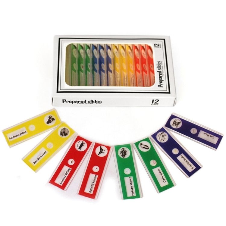 Tragbares Taschenmikroskop mit einstellbarem 60-120x Zoom