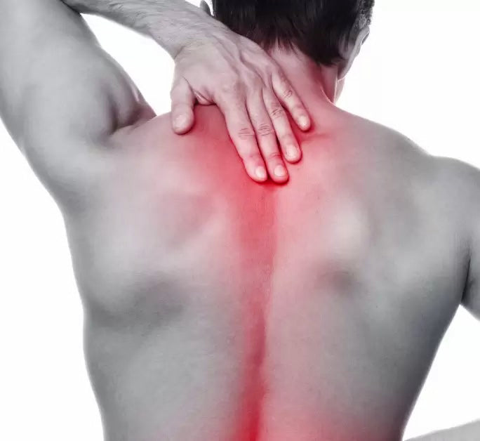 WärmoKraft™ – Selbstwärmende Kräuterpflaster für Knie, Rücken und Schultern