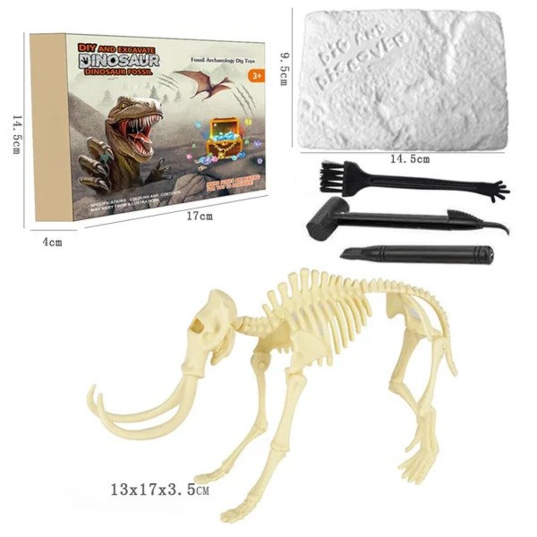 50% RABATT | Dinosaurier Fossilien Ausgrabungsset