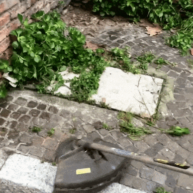 EverTrim™ - Die ultimative Lösung zum Unkrautschneiden (50% Rabatt)